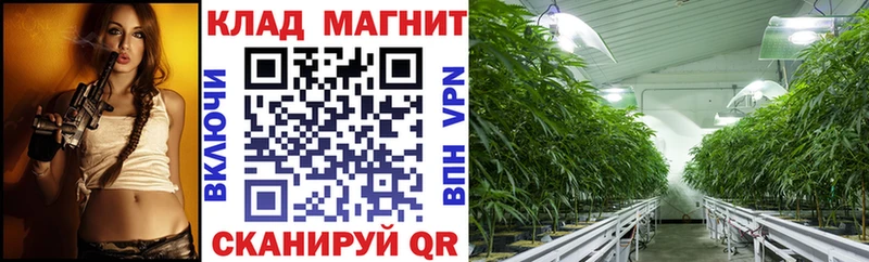 Продажа наркотиков Кущёвская Марихуана  COCAIN  АМФЕТАМИН  blacksprut как зайти  Меф 