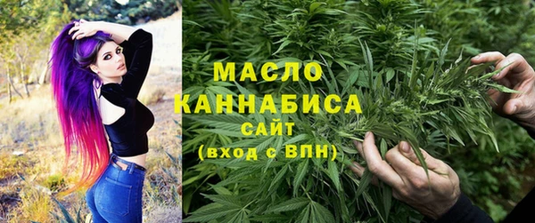 молекула духа Верхний Тагил
