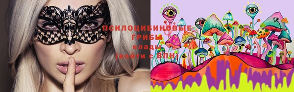 ГАЛЛЮЦИНОГЕННЫЕ ГРИБЫ Верхнеуральск