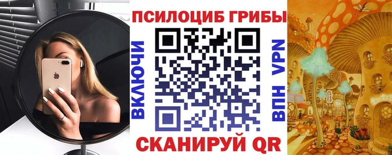 Псилоцибиновые грибы Cubensis  Кущёвская 